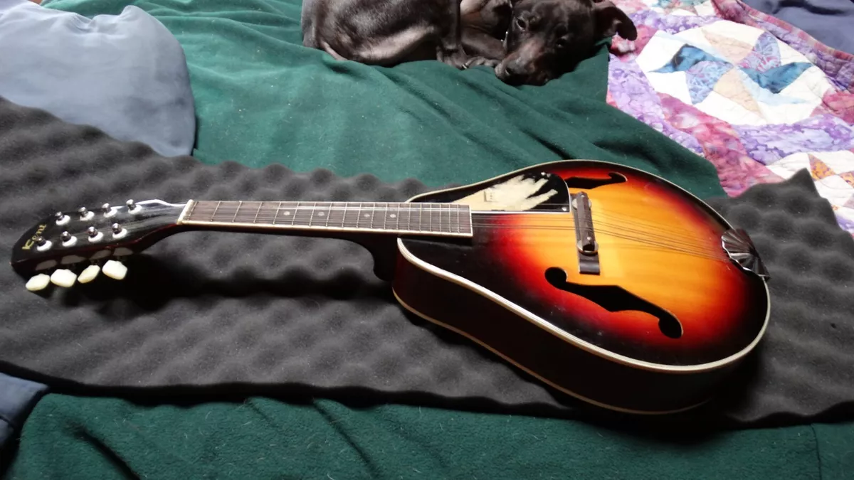 Kent mandolin deals