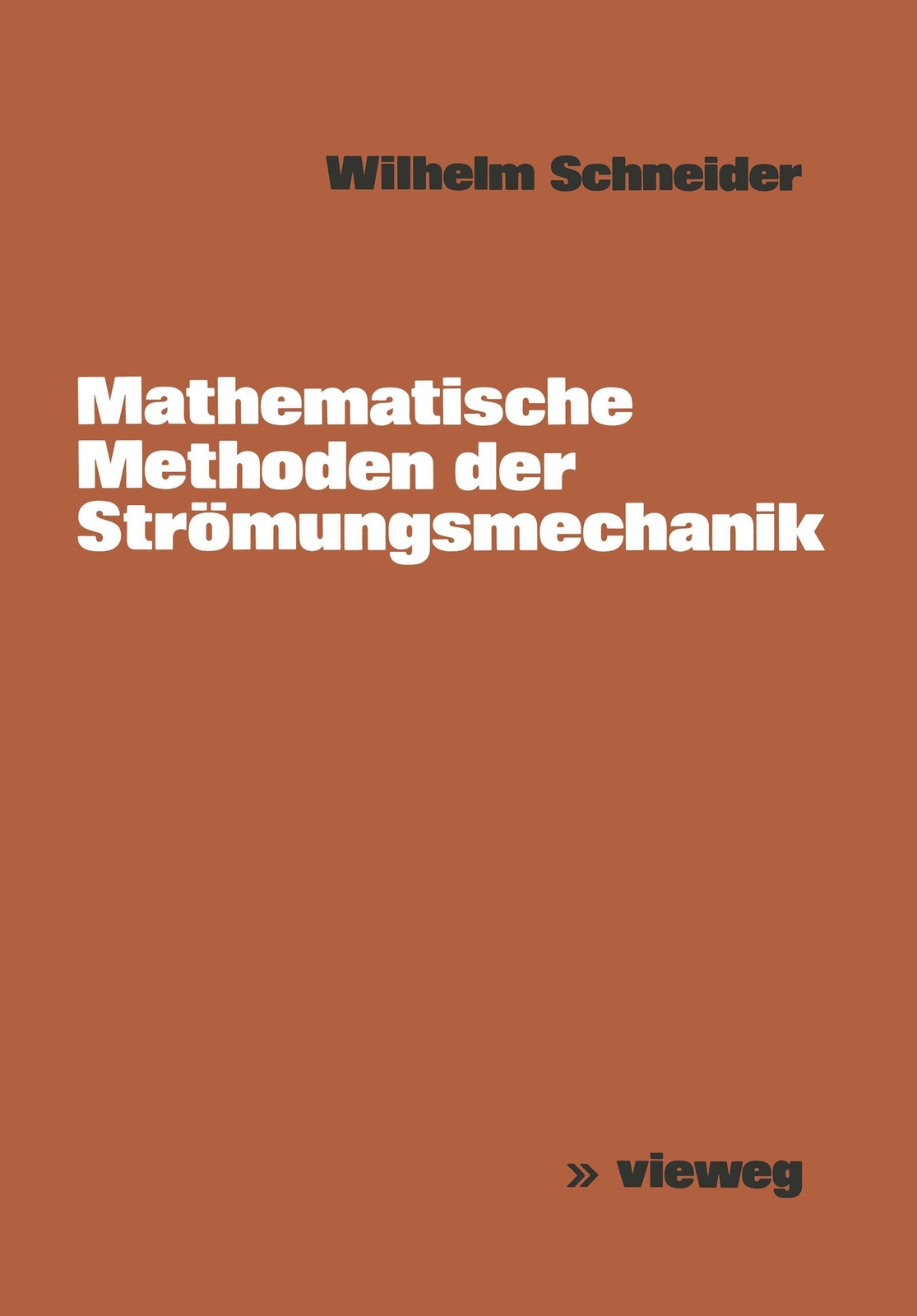 Thumbnail - Mathematische Methoden Der Strömungsmechanik Wilhelm Schneider