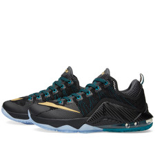 lebron 12 low carbon fiber