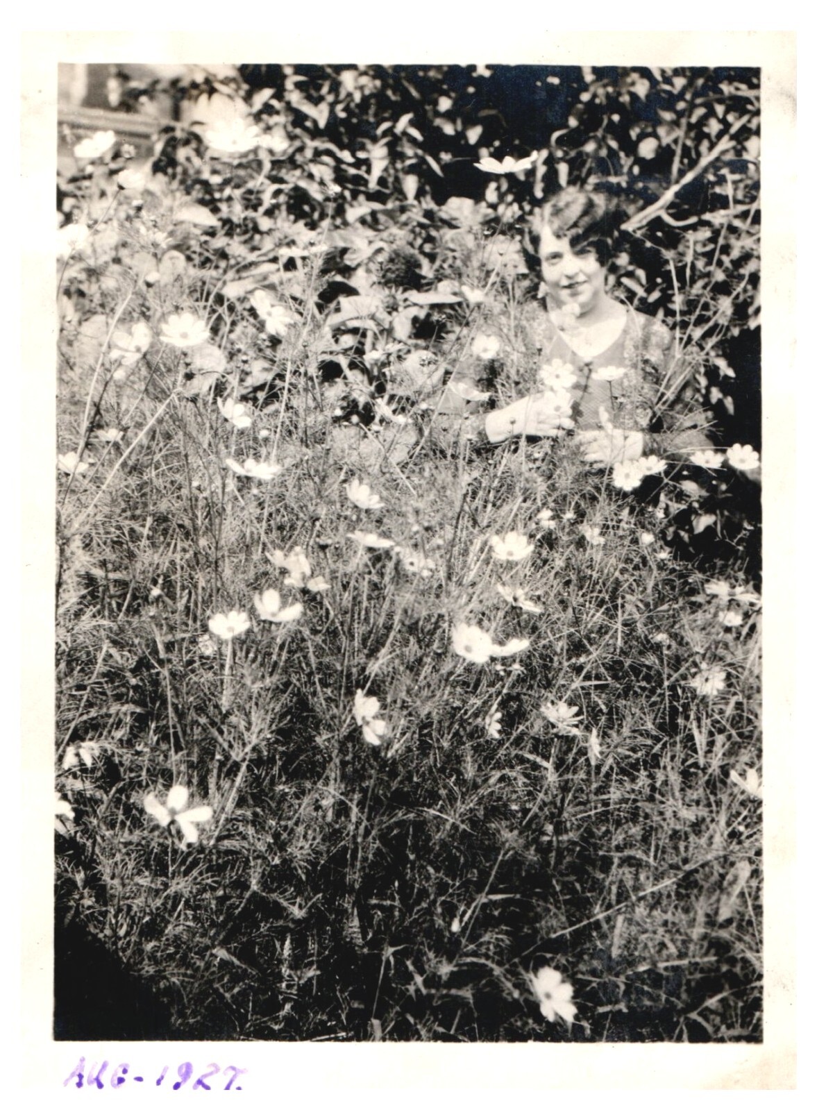 Picture 1 of 2