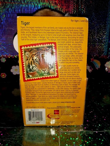 🦄Encyclopedia Britannica Record & Play JCPenney After School Tiger '2005 Plush! - Picture 2 of 9