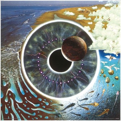 Pink Floyd (Pulse) 30,5 cm Albumcover-Druck (Lose)