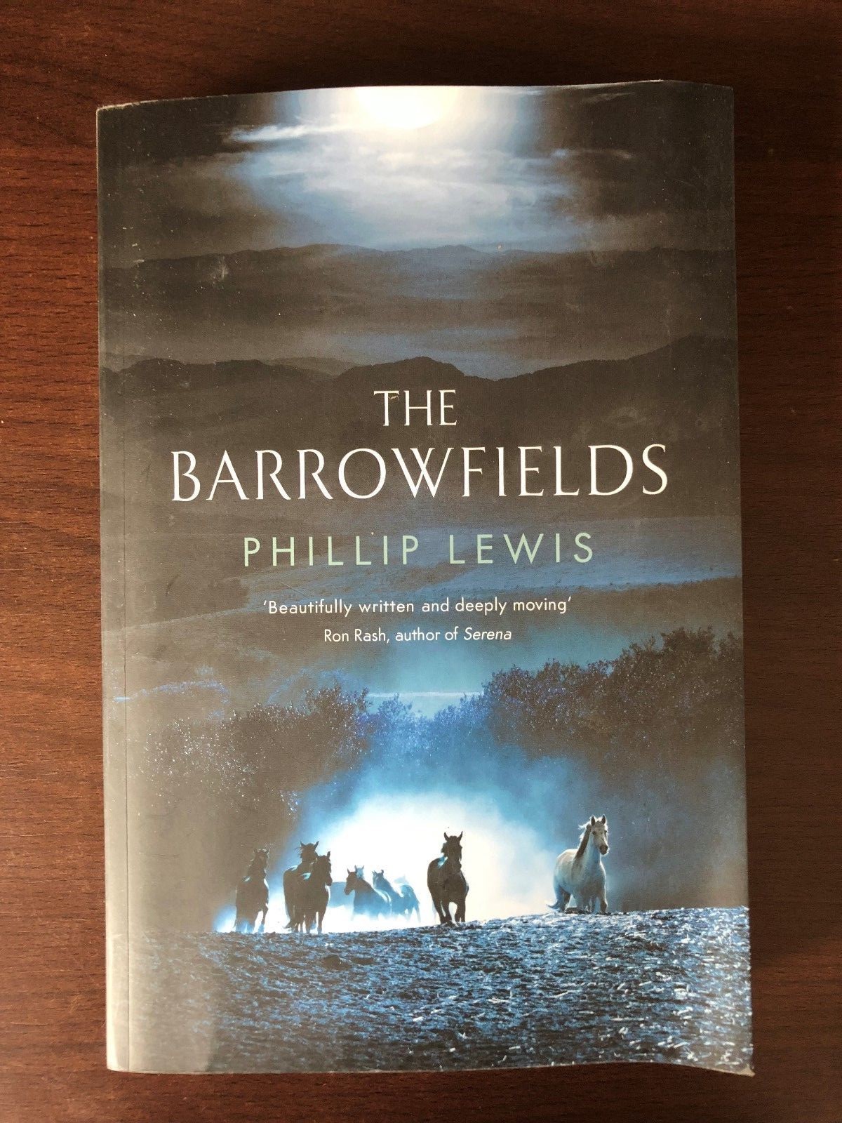 THE BARROWFIELDS by PHILLIP LEWIS - SCEPTRE - P/B - *PROOF*