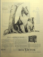 Pubblicità RCA Victor Radio Champion Collies Pedigree Camden NJ stampa d'epoca 1945