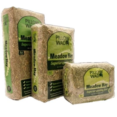 Pillow Wad Meadow Hay Quality Dried Grass Small Animal Pet Natural Bedding Feed - Image 1 of 4