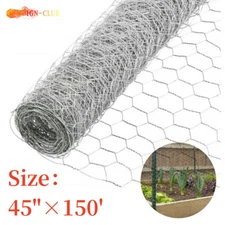 48"×150' 2" Holes Galvanized Poultry Net Metal Fencing Chicken Wire High Quality