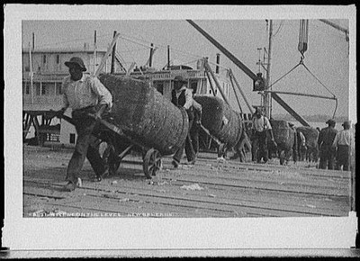 Scene,levee,African Americans,shipping,cotton,New Orleans,Louisiana,LA,1880
