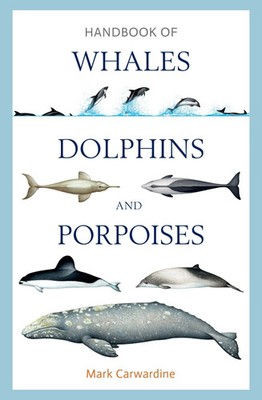 Handbook of Whales, Dolphins and Porpoises | Mark Carwardine | Englisch | Buch