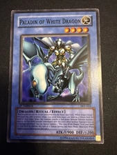 Paladin of White Dragon SKE-024 Magician's Force 1st Edition(17)