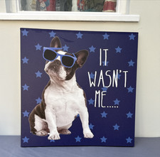 Next Home Picture French Bulldog Navy  It Wasn’t Me’ Slogan Dog.
