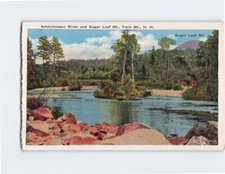 Postcard Ammonoosuc River and Sugar Loaf Mt. Twin Mountain USA