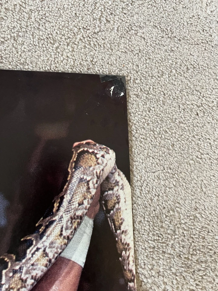 PÓSTER VINTAGE ORIGINAL WWE/WWF -2 caras plegado - Jake The Snake Roberts - 21x32 Foto 4 de 4