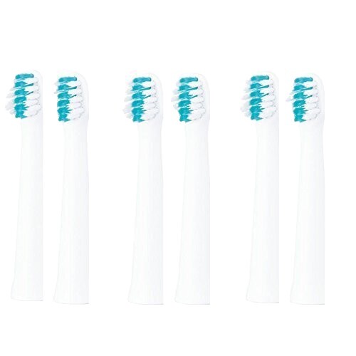 Panasonic Japan Doltz Replacement Tooth Brush V Head (EW09104-W