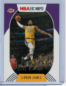 lebron james basketball hoop