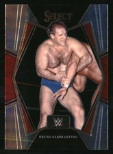 Bruno Sammartino 2022 Panini Select WWE #149 WRESTLING Card