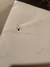 Sonic Jam Sega Saturn Authentic Back Cover Art Artwork OEM **NO GAME**