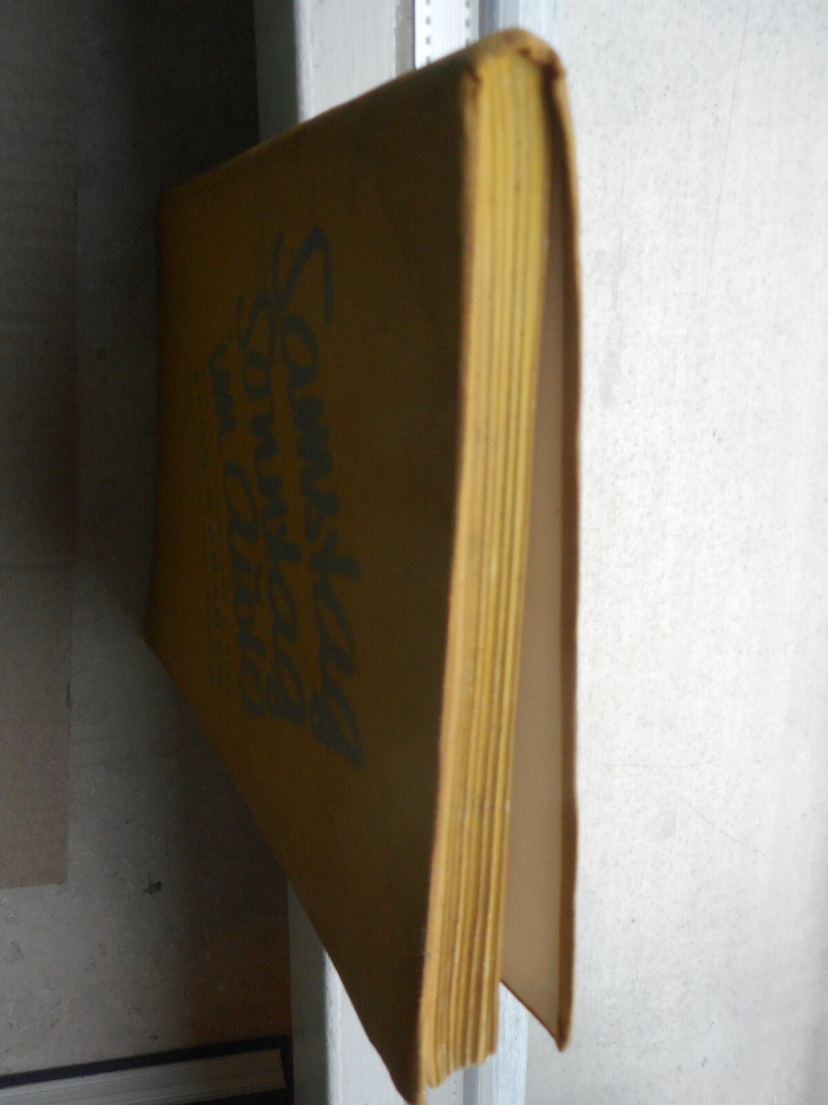 Bild 3 von 24