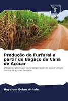 Hayelom Gebre Ashale | ProduçãO De Furfural A Partir Do BagaçO De Cana De AçúCar