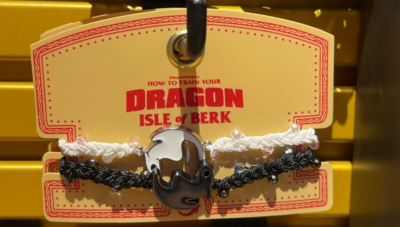 Universal Epic How Train Your Dragon Toothless Light Fury