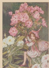 Phlox Flower Fairy Counted Cross Stitch Chart No. 8-407/27
