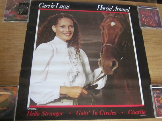 Carrie Lucas 1985 Horsin' Around Promo Poster Hello Stranger Klymaxx