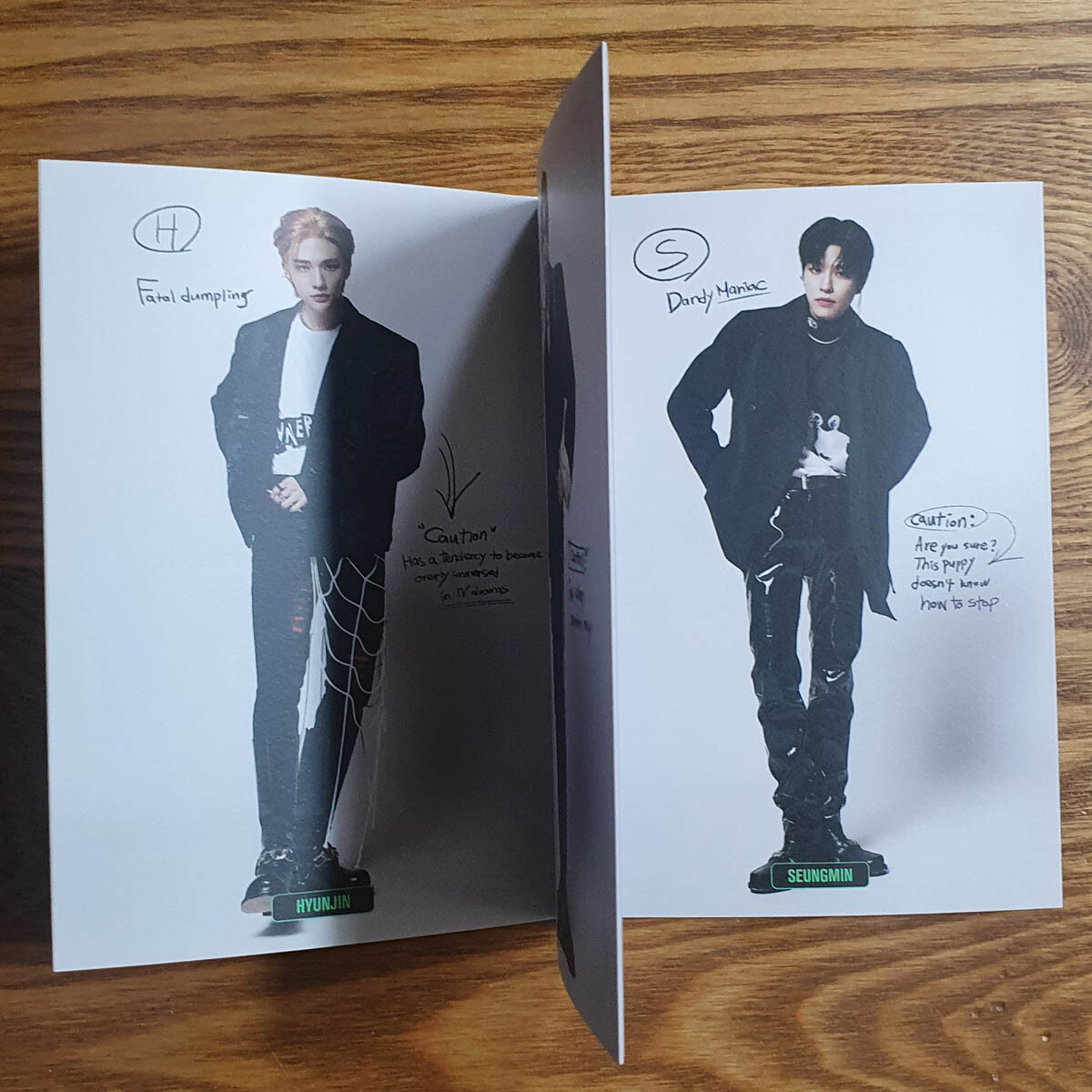 Official Character Art Book Stray Kids Mini Album Oddinary Genuine