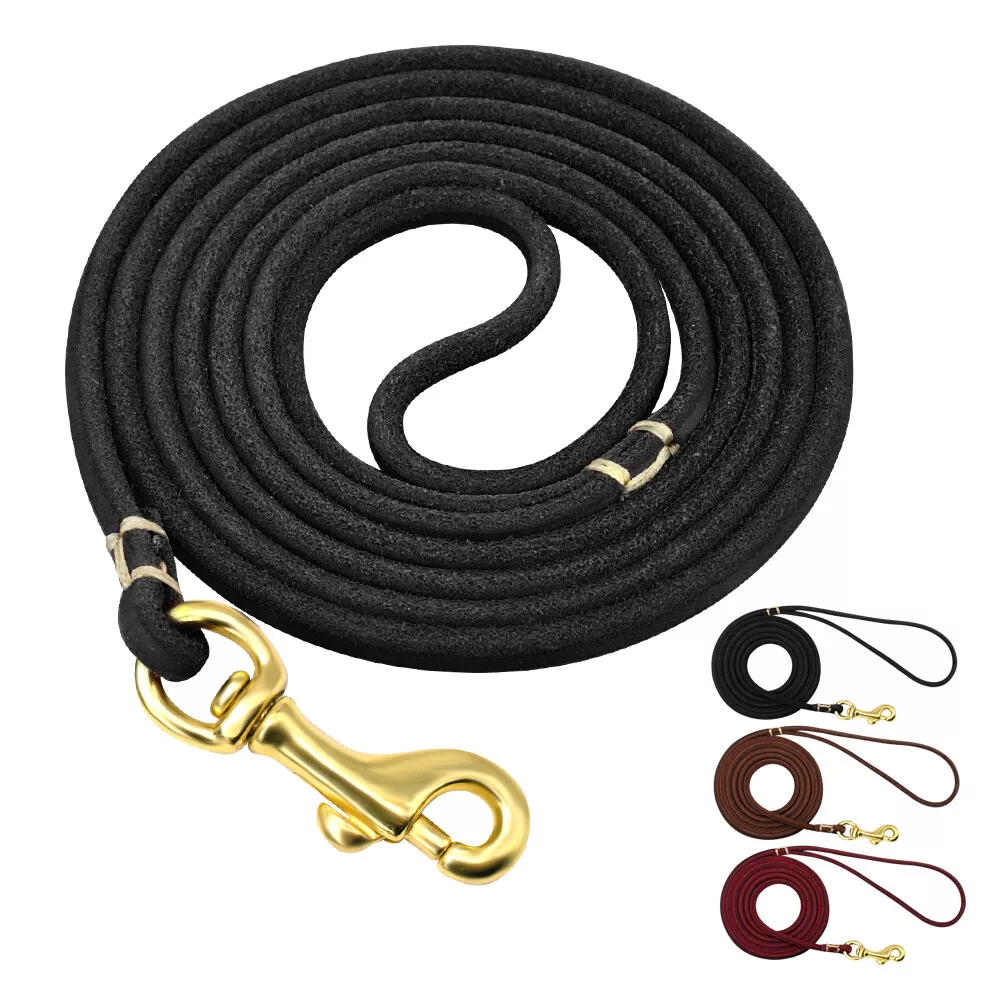 Thin Leather Dog Lead Show Slip Lead Pet Walking Leash for Small