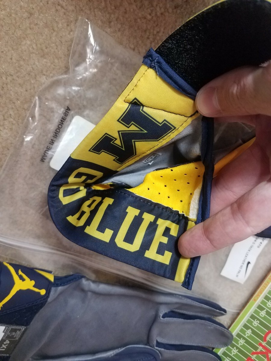 【NIKE/JORDAN】ミシガン大学　ミシガン・ウルヴァリンズ NIKE JORDAN D-TACK 5.0 NCAA MICHIGAN WOLVERINES LINEMAN