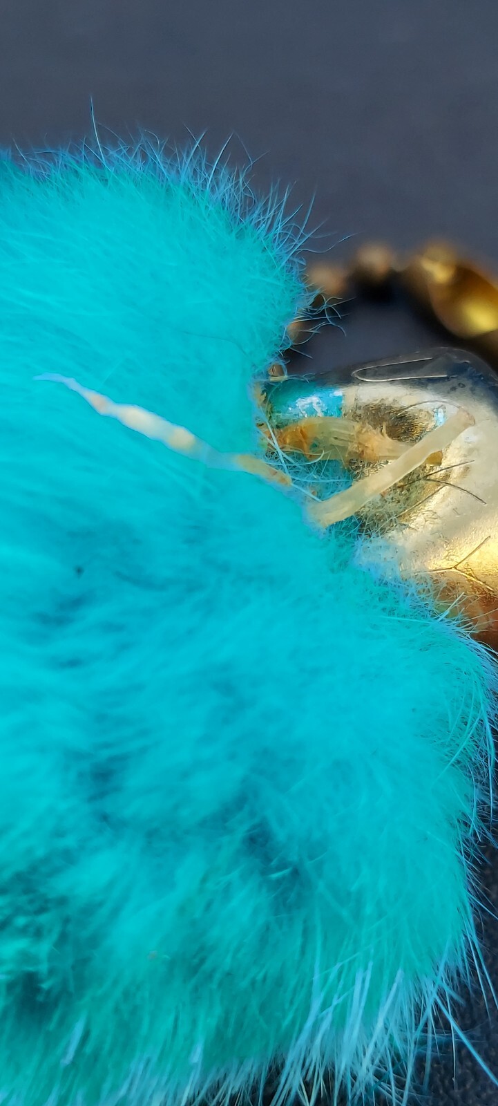 Picture 4 of 6
