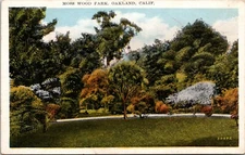 Moss Wood Park Oakland California Postcard White Border Unposted 1810