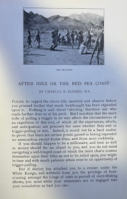 1902 Ibex Hunting on the Red Sea Coast illustrated