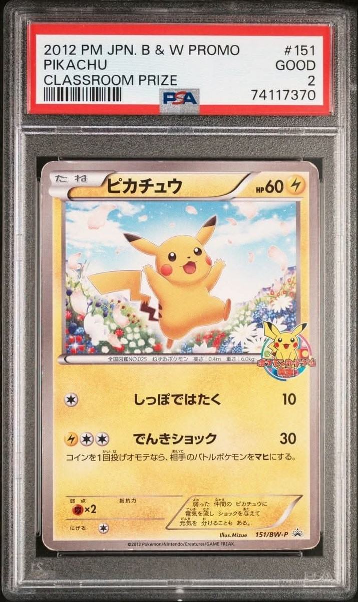 ピカチュウ PROMO BW-Pプロモカード 151/BW-P Pikachu - 151/BW-P 151/BW-P BW-P Promotional cards Regular