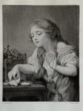 Greuze / Morse engraving lithograph portrait young woman and dead bird