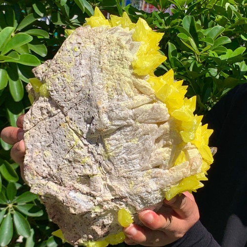12.76LB Beautiful Minerals ** LARGE NATIVE SULPHUR OnMATRIX Sicily- FREE - 第 12/15 張圖片