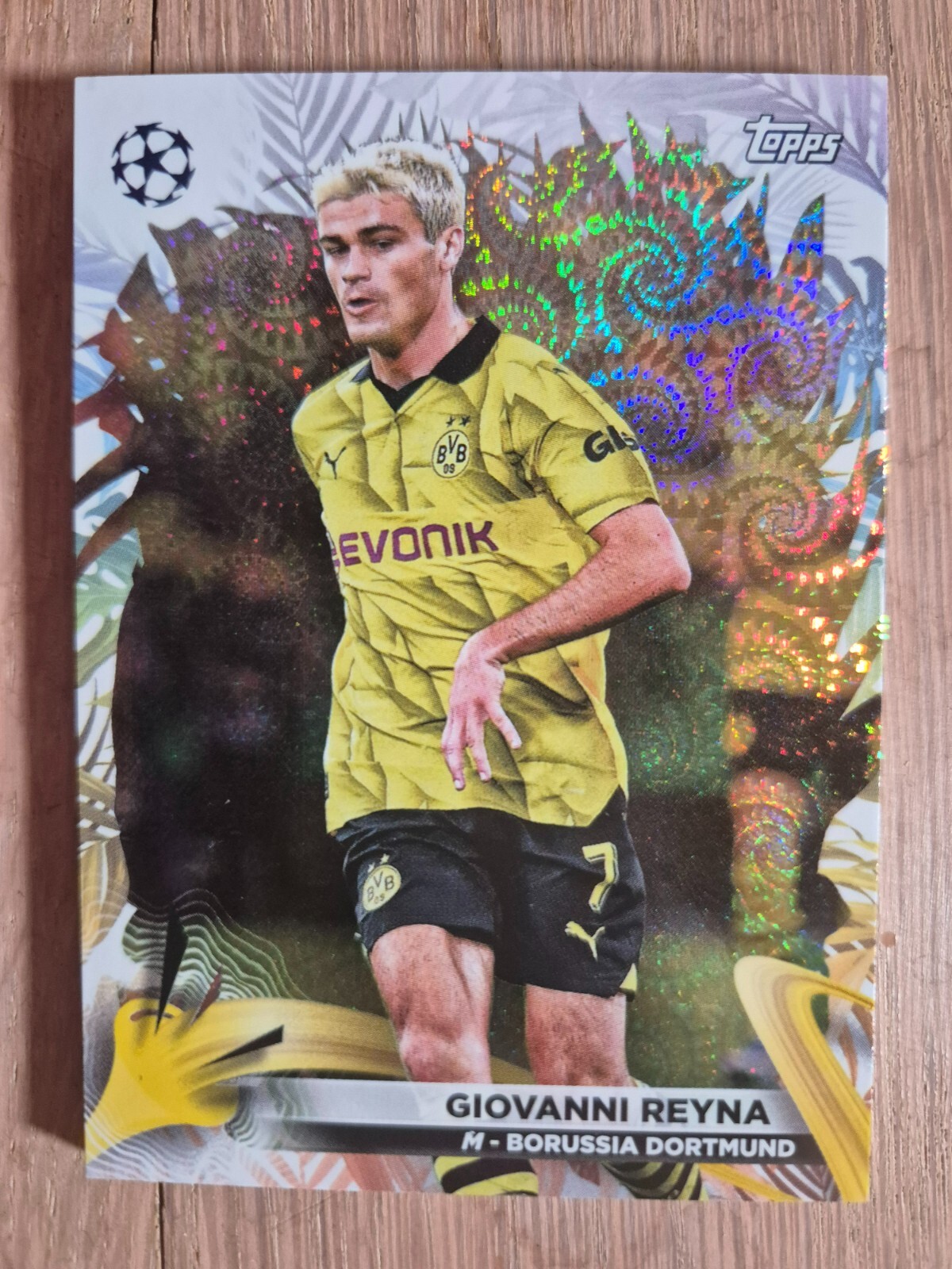 Bild 95 von 121