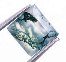Natural Green Moss Agate Faceted Cut Square Shape 5X5mm Loose Gemstone 0.40 Ct.