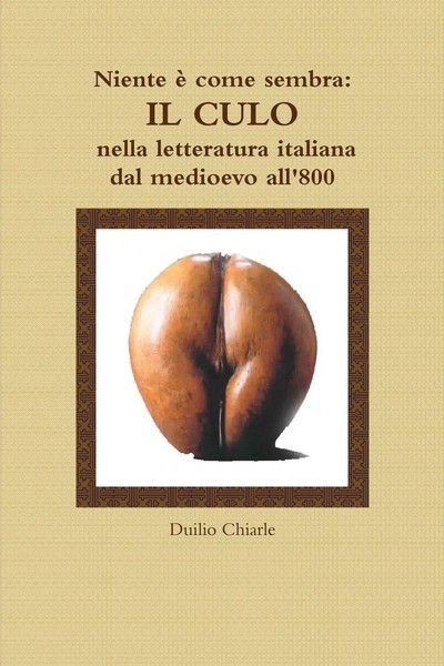 Duilio Chiarle | Niente è Come Sembra | Taschenbuch | Italienisch (2011)-image