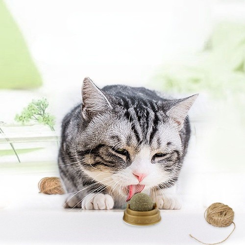 Moistureproof Rotatable Cat Toys Cat Mint Interactive Catnip Balls Rotatable - Picture 6 of 12