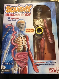 smartlab human body