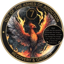 Phoenix Sobriety Coin 7 Year AA Chip Medallion Gift Set Sobriety Gifts for Anniv