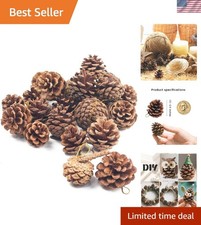 Handpicked Rustic Pine Cones 18PCS - Perfect for Fall  Winter Decorations