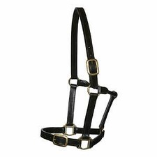 English Stitched Leather Headcollar