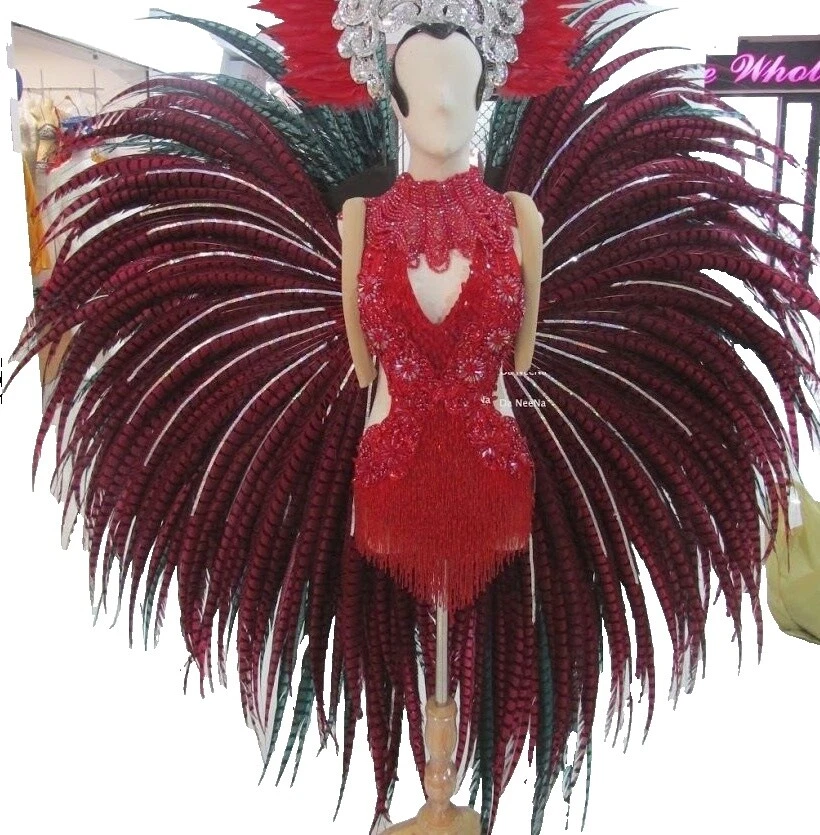 Feather Devil Unisex Costumes