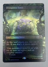 Overgrown Tomb (Borderless) Lorwyn Eclipsed Foil 350 MTG