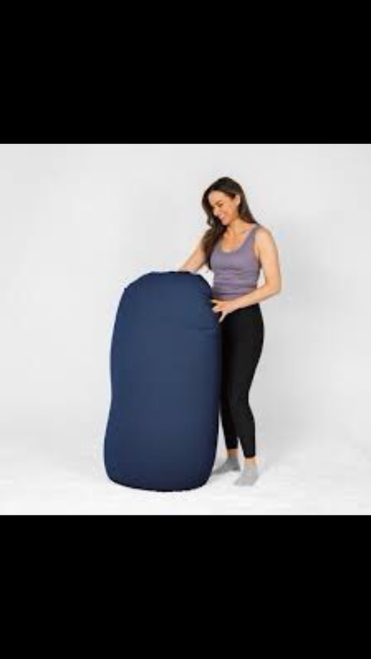 Moon Pod Bean Bag Chairs for Adults the ZeroGravity Beanbag Chair Moon Pod eBay