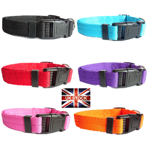 dog accessories ebay