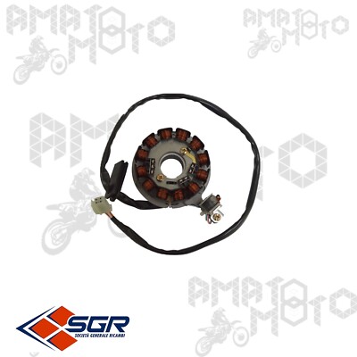 STATOR MAGNET SCHWUNGRAD 163082 MALAGUTI XSM POWER UP XTM POWER UP MBK X LIMIT 50