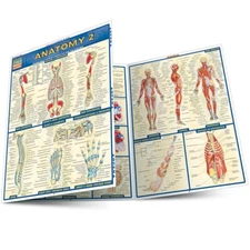 Anatomy 2 - Laminated Tri Fold Study Guide Brand new Study Aide  by Quick Study