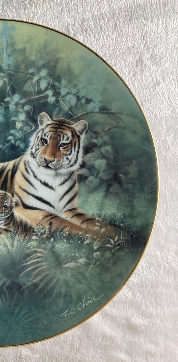 3dRose Grußkarten Sibirischer Tiger – 12 Stück, 8x8 Cm | Blanko Zum Selbstgestalten