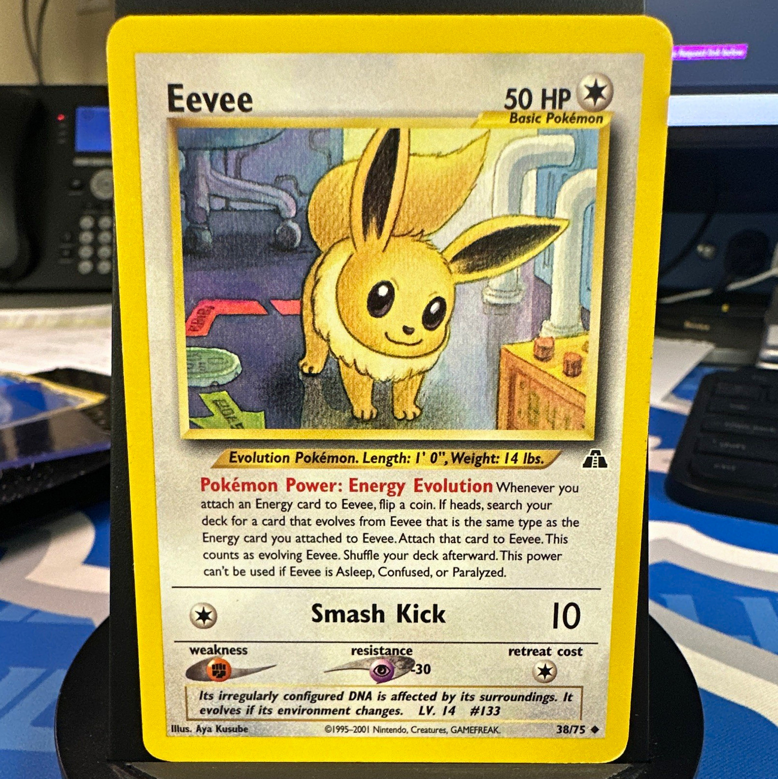 Eevee 38/75 Neo Discovery Common Basic 50 HP English 2001 Regular